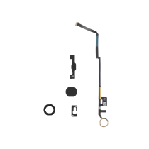 Nappe Bouton Home iPad 7/8 (Or)