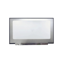 Dalle LED 17.3" - 1920x1080 - 30 Pins Droite (Matte)
