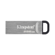 KINGSTON Clé USB Kyson 256Go