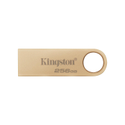 KINGSTON Clé USB DTSE9 G3 256Go
